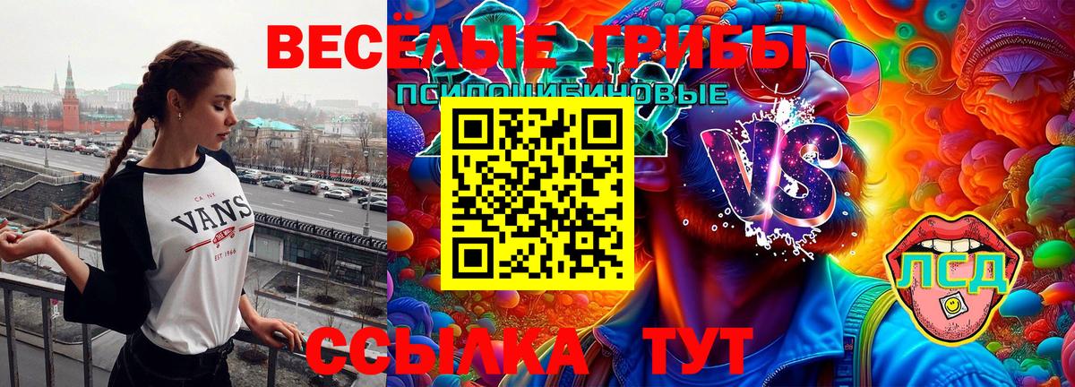 Галлюциногенные грибы MAGIC MUSHROOMS Александров