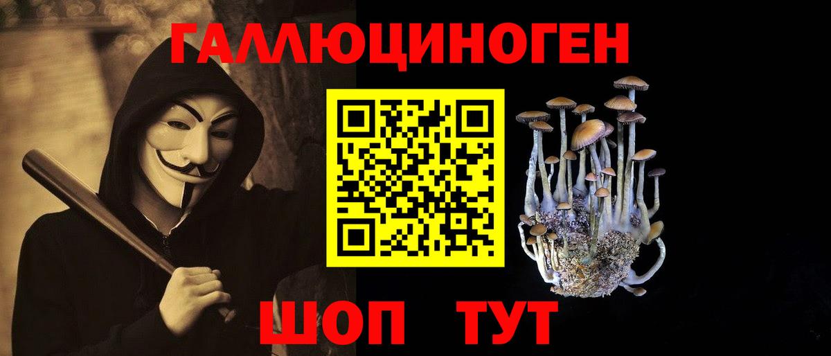 Галлюциногенные грибы MAGIC MUSHROOMS  Вход с VPN  Александров 